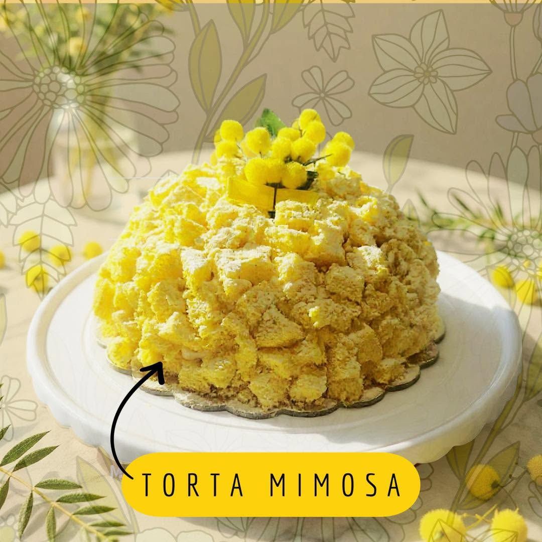 Torta mimosa